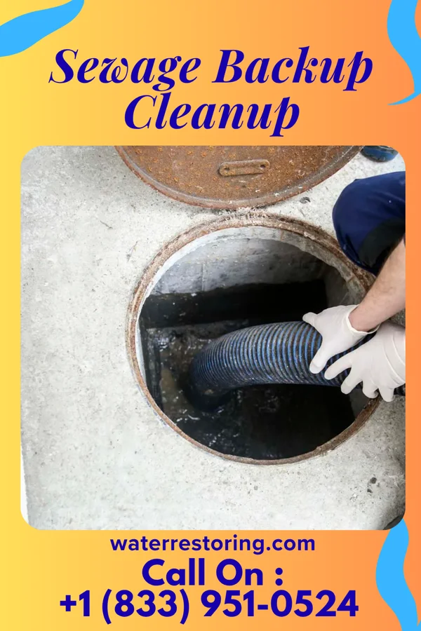 Sewage Backup Cleanup in Rowlett, TX